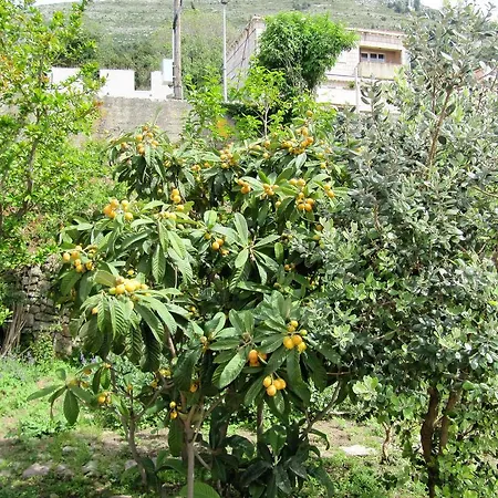 & Saint John Apartman