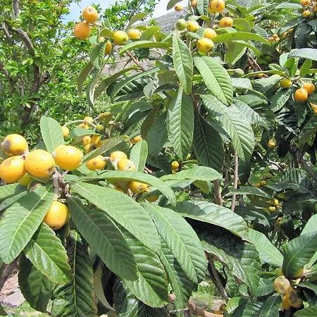 Apartamento & Saint John *