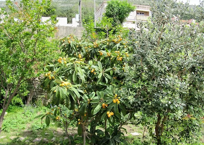 & Saint John Lägenhet