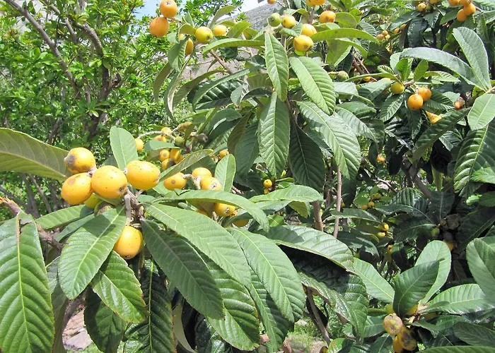 شقة & Saint John *